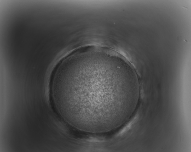 X0000089680199200706281404