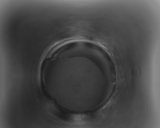 X0000089680200200706281404