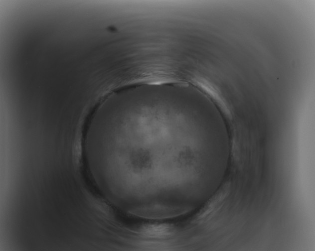 X0000089680202200706281404