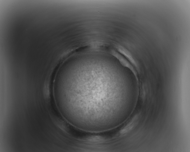 X0000089680203200706281404