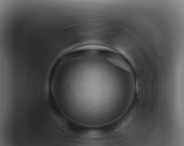 X0000089680204200706281404