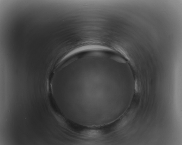 X0000089680205200706281404