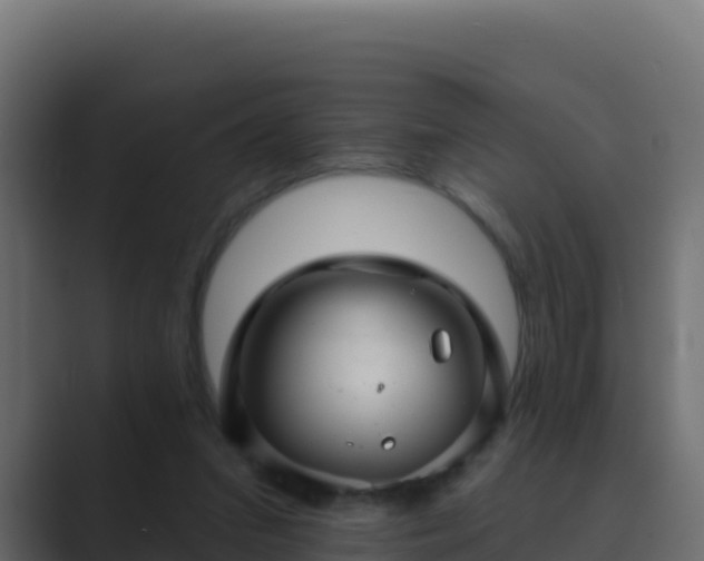 X0000089680207200706281404