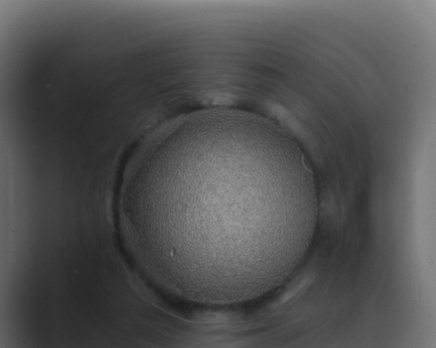 X0000089680209200706281404