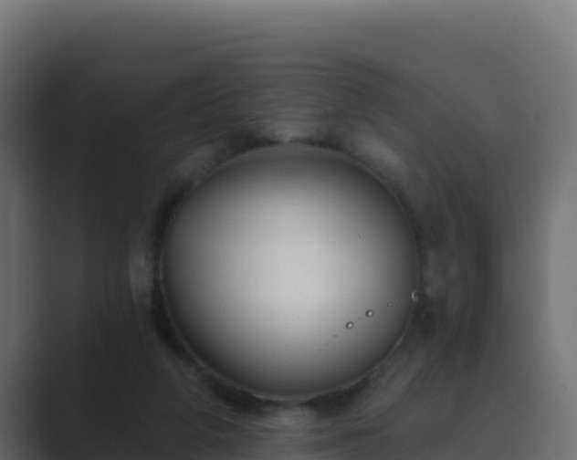 X0000089680210200706281404