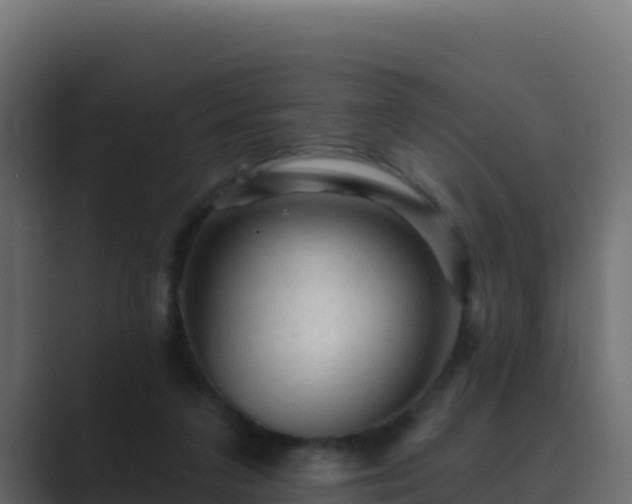 X0000089680211200706281404