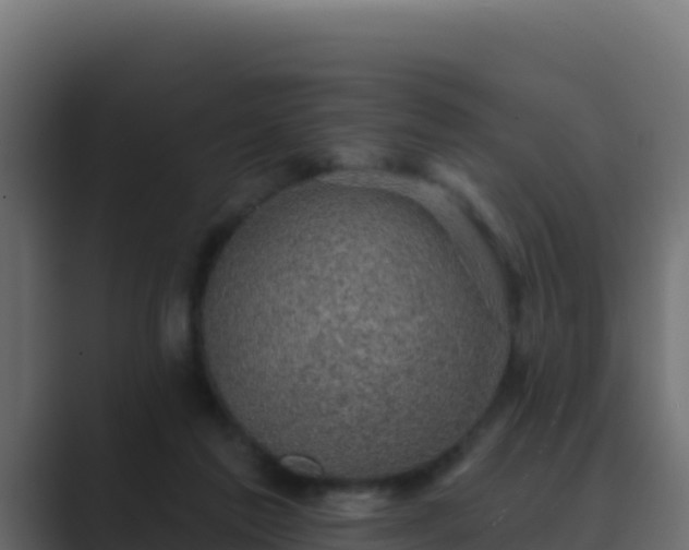 X0000089680213200706281404