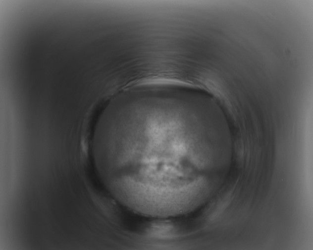 X0000089680214200706281404