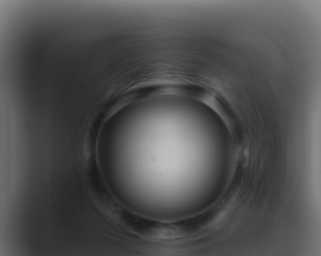 X0000089680215200706281404