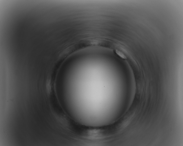 X0000089680216200706281404