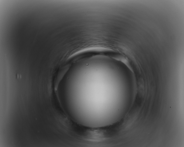 X0000089680221200706281403