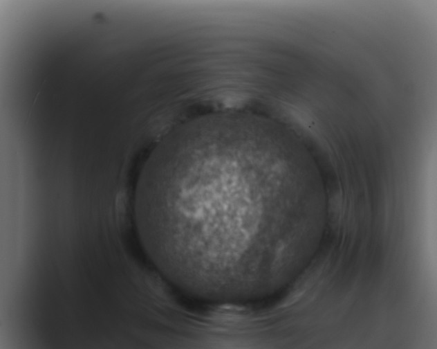 X0000089680222200706281403