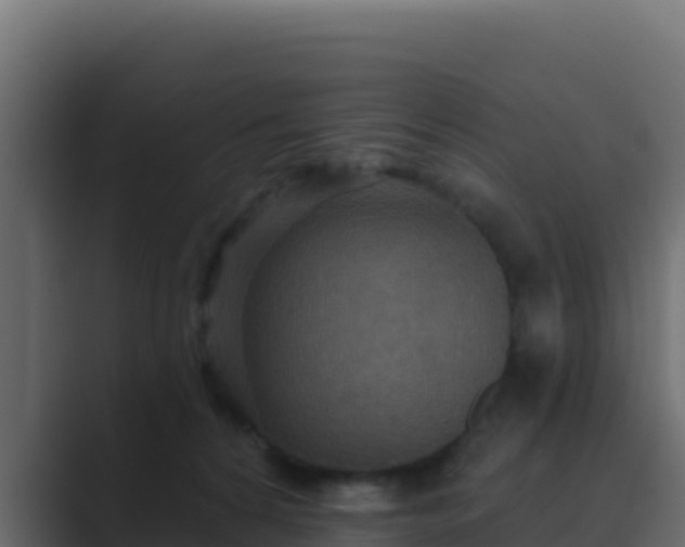 X0000089680224200706281403