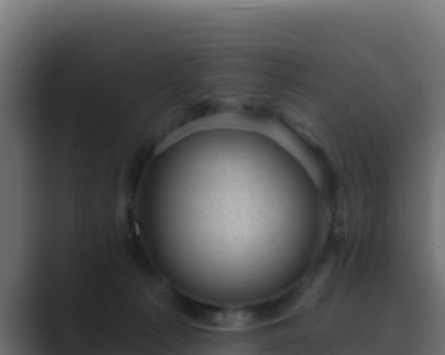 X0000089680225200706281403