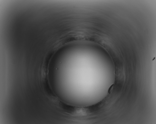 X0000089680226200706281403