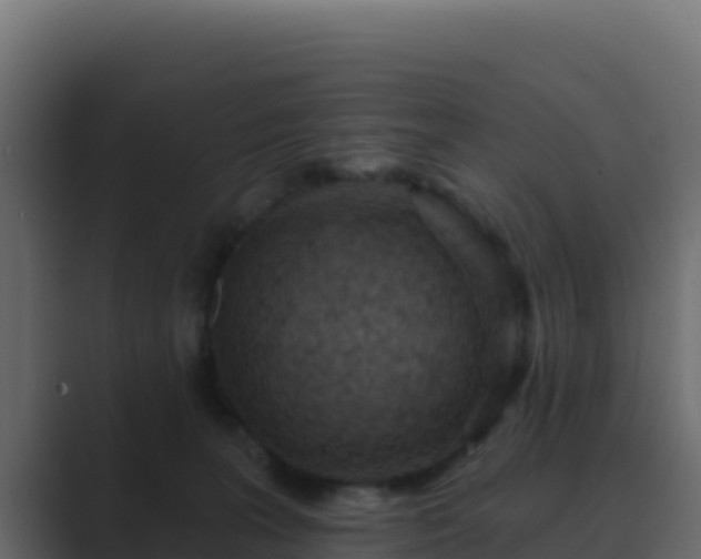 X0000089680227200706281403