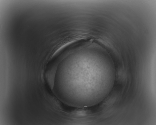 X0000089680228200706281403