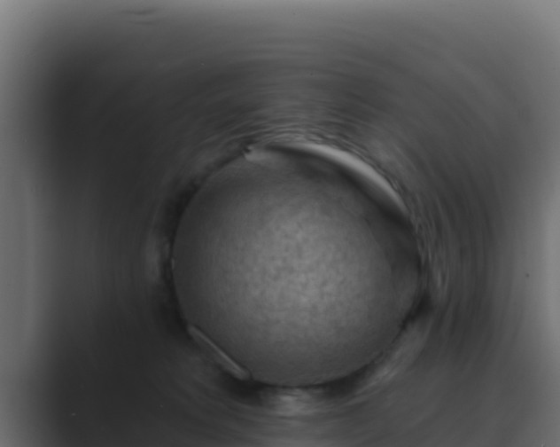 X0000089680229200706281403