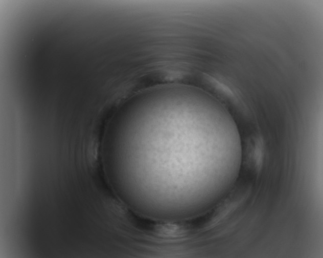 X0000089680230200706281403