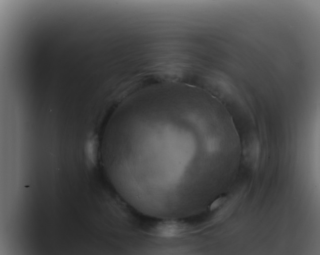 X0000089680231200706281403