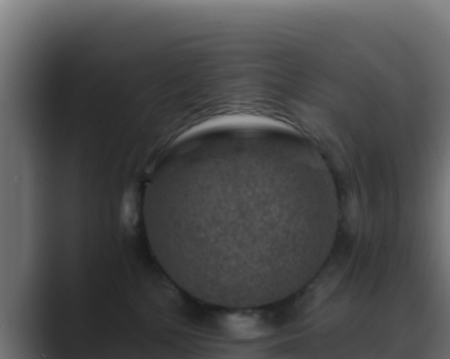 X0000089680232200706281403