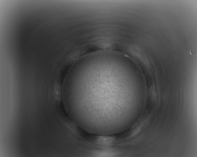 X0000089680234200706281403