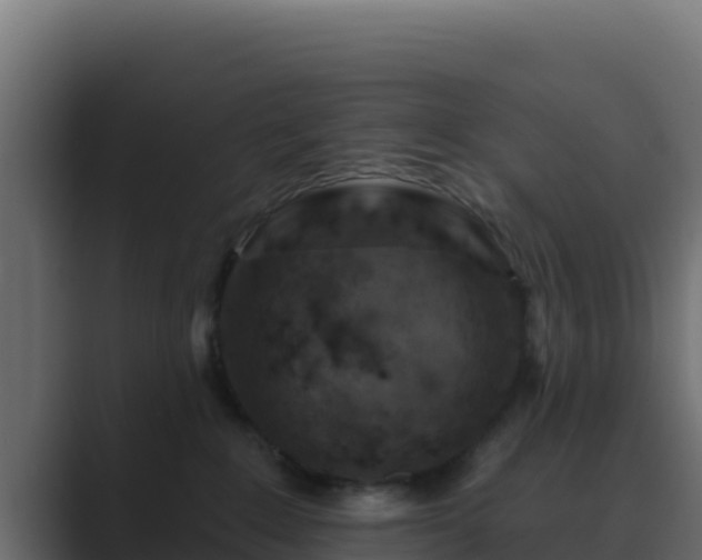X0000089680235200706281403