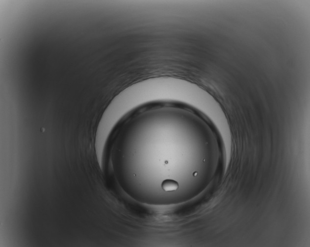 X0000089680237200706281403