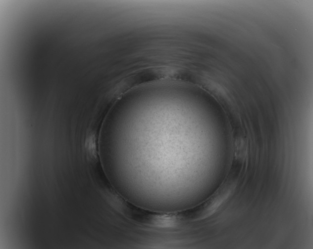 X0000089680238200706281403