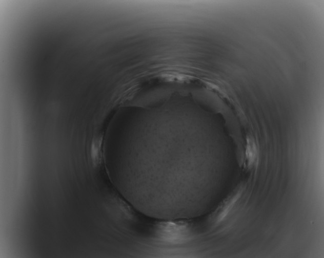 X0000089680239200706281403