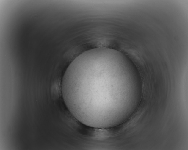 X0000089680240200706281403