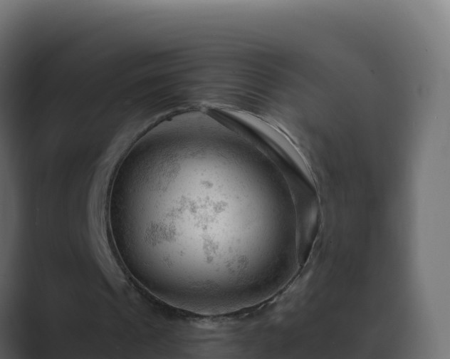 X0000089680241200706281403
