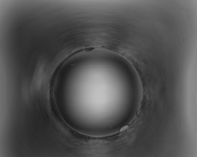 X0000089680242200706281403
