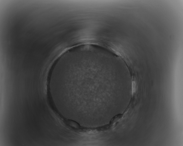 X0000089680243200706281403