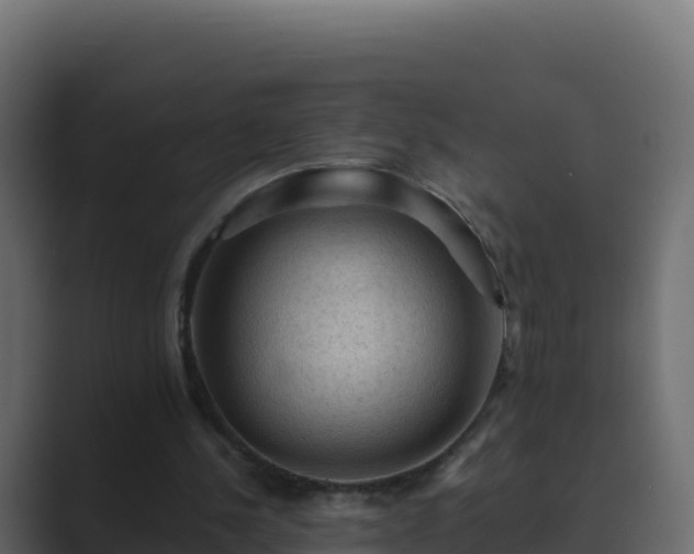 X0000089680244200706281403
