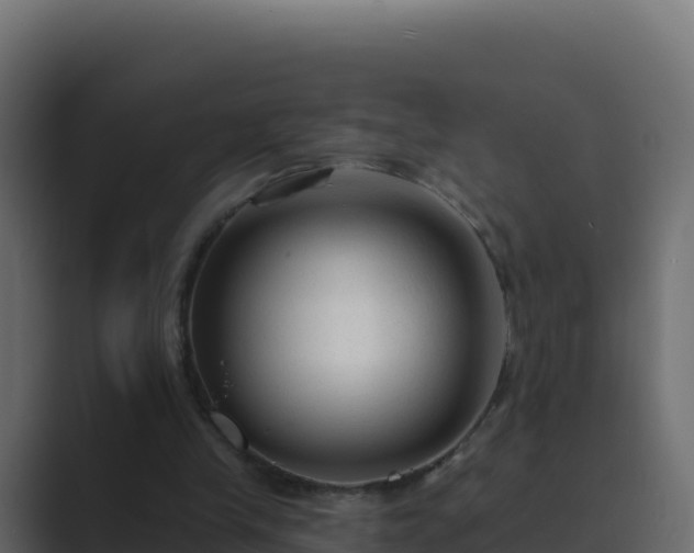 X0000089680245200706281403