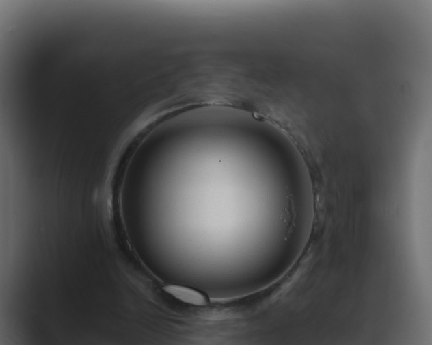 X0000089680246200706281403