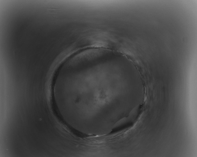 X0000089680247200706281403