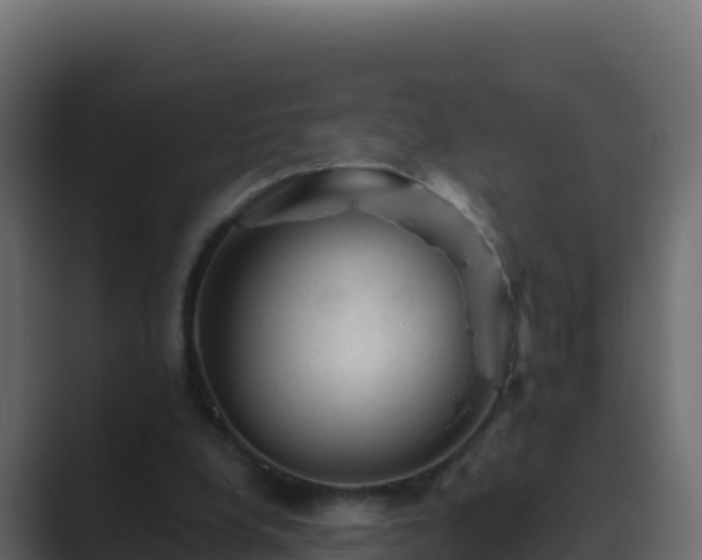 X0000089680248200706281403
