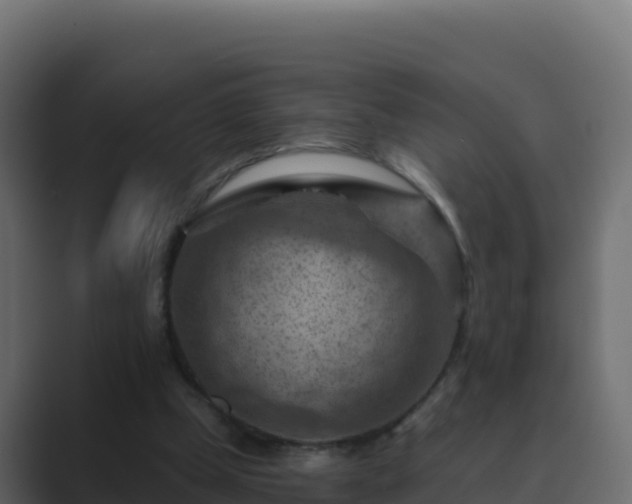 X0000089680249200706281403