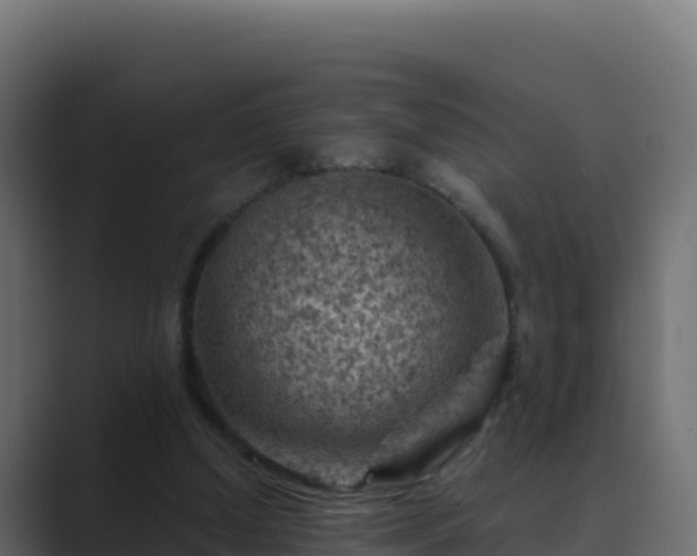 X0000089680250200706281403