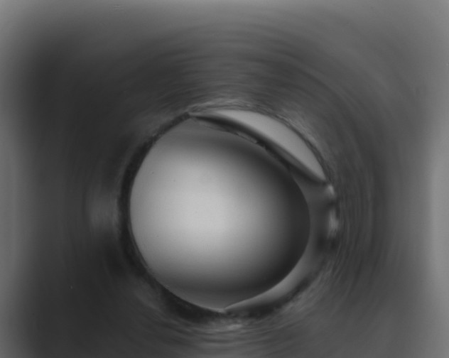 X0000089680252200706281403