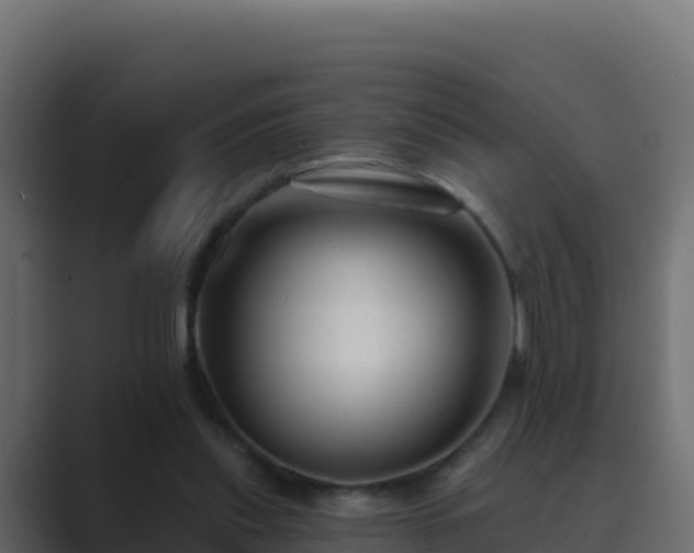 X0000089680253200706281403