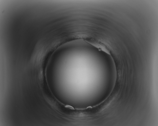 X0000089680254200706281403