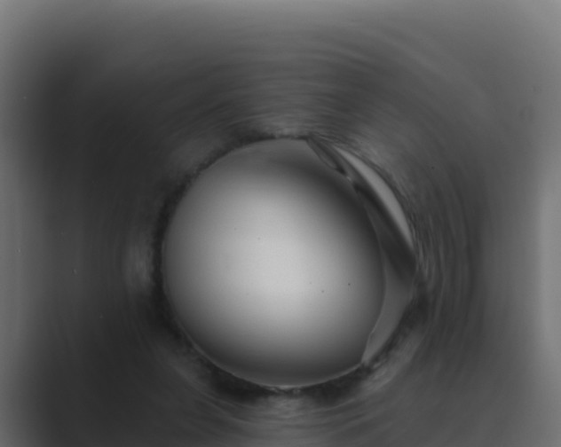 X0000089680255200706281403
