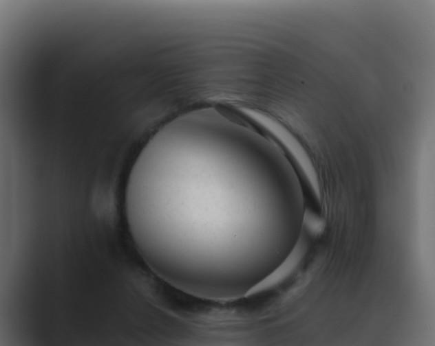 X0000089680256200706281403