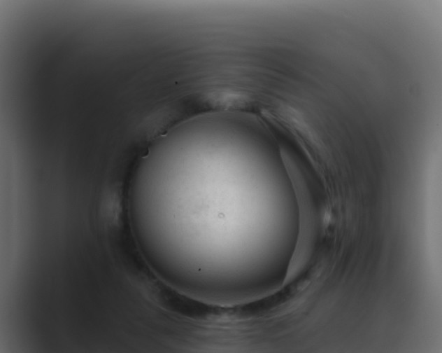 X0000089680259200706281403