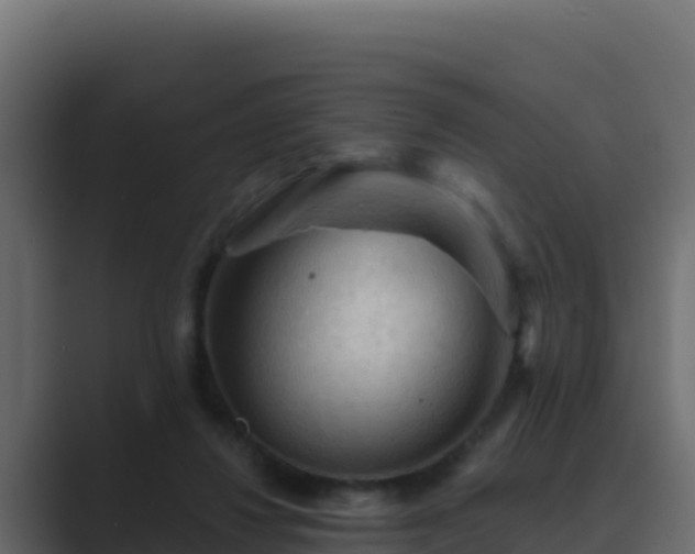 X0000089680260200706281403