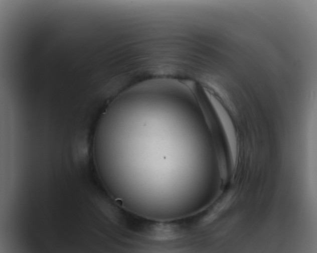 X0000089680261200706281403