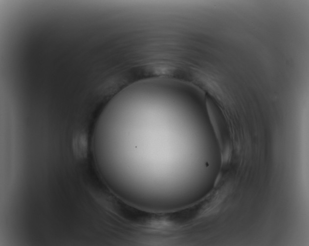 X0000089680262200706281403